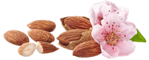 almond product