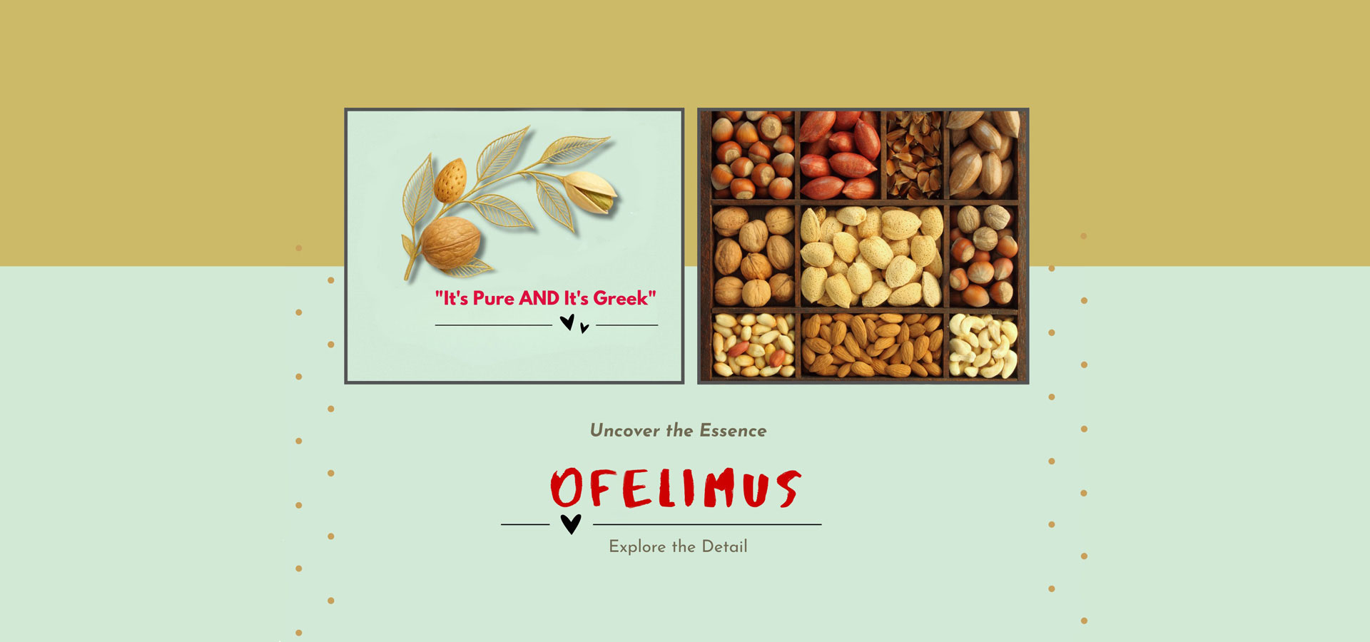 ofelimus ξηροί καρποί